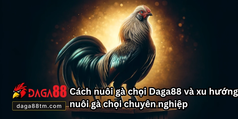 Cách Nuôi Gà Chọi