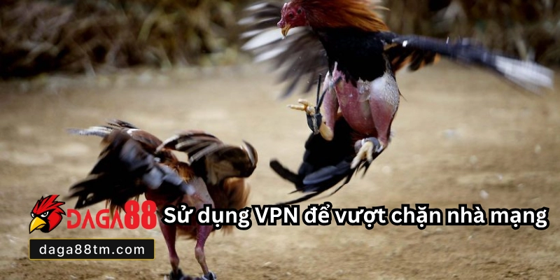 Cách Truy Cập Daga88 Không Bị Chặn