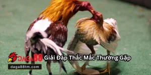Cách Truy Cập Daga88 Không Bị Chặn