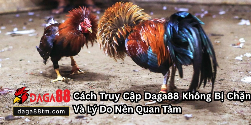 Cách Truy Cập Daga88 Không Bị Chặn
