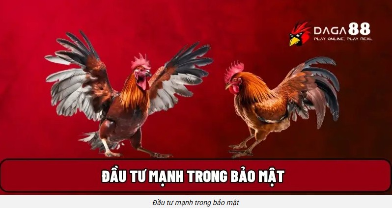 Daga88 cam kết bảo mật thông tin tuyệt đối