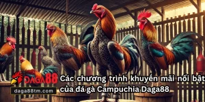 Đá Gà Campuchia