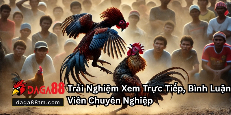 Đá Gà Thomo