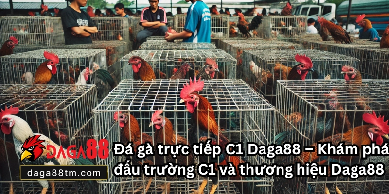 Đá Gà Trực Tiếp C1