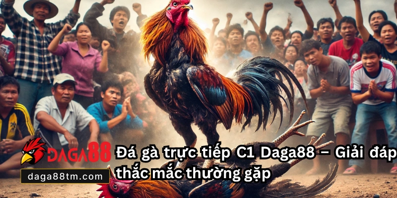Đá Gà Trực Tiếp C1