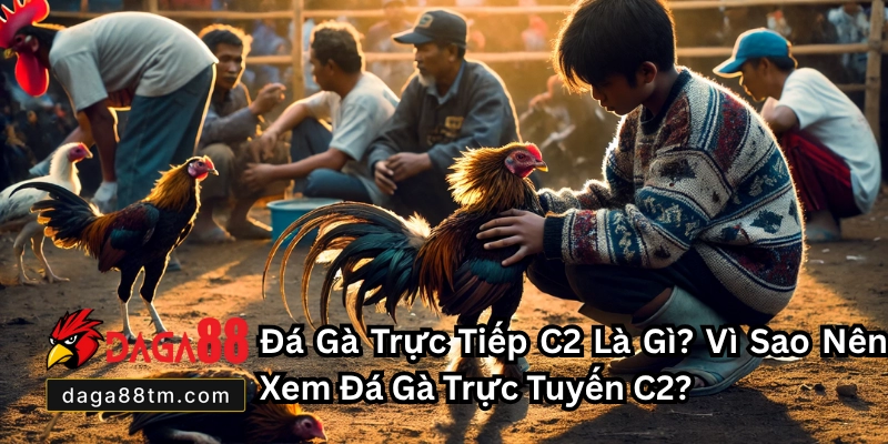 Đá Gà Trực Tiếp C2