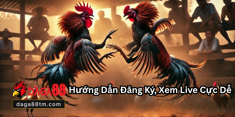 Đá Gà Trực Tiếp C3