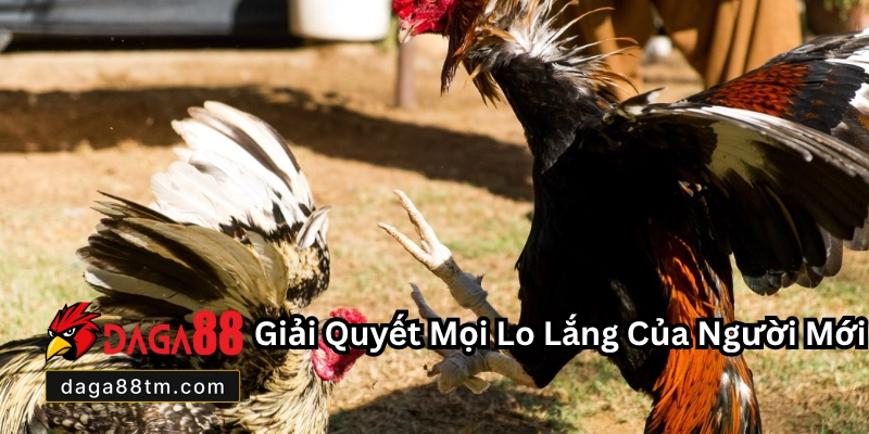 Đăng Ký Daga88
