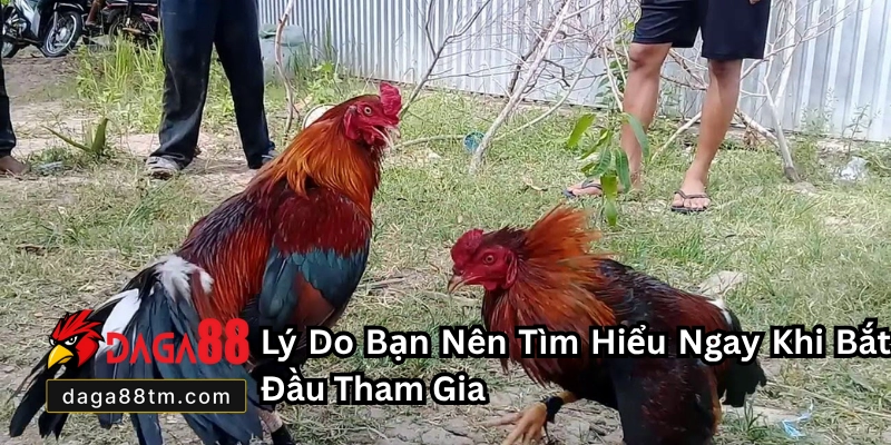 Đăng Ký Daga88