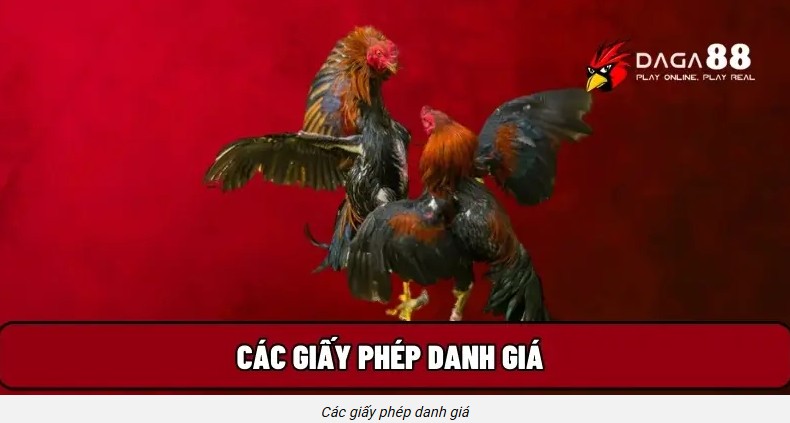 Daga88 có giấy phép hoạt động hợp pháp