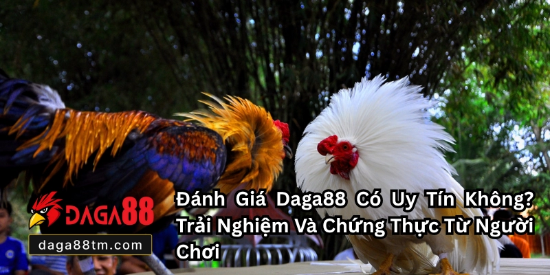 Giới Thiệu DAGA88