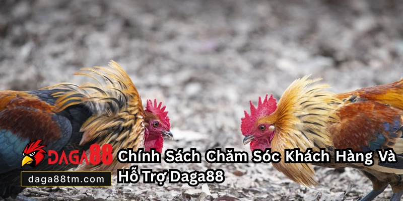 Giới Thiệu DAGA88