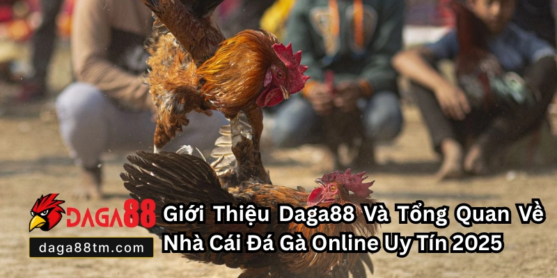 Giới Thiệu DAGA88