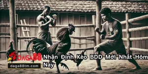 Kèo BDD