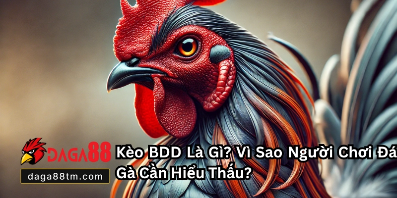 Kèo BDD