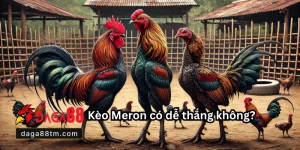 Kèo Meron
