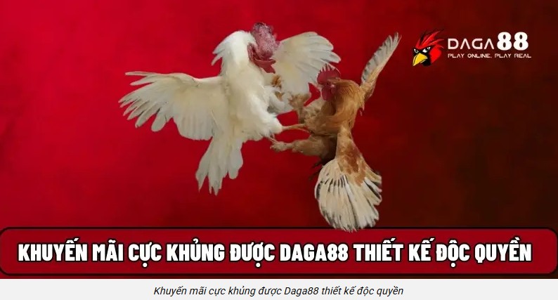 Các chương trình khuyến mãi tại Daga88