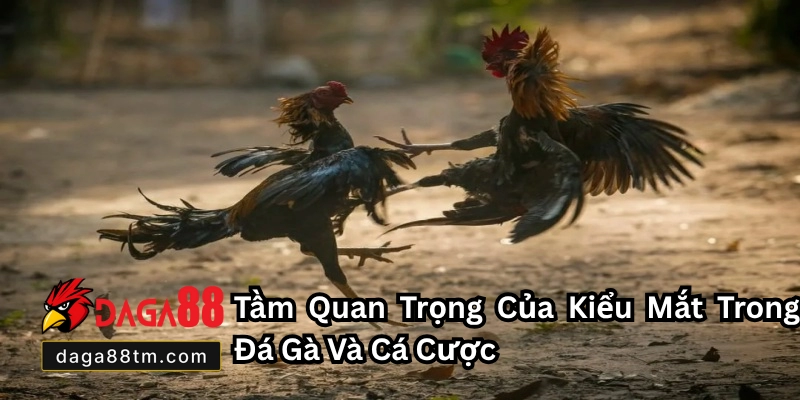 Kiểu Mắt Gà Chọi Đá Hay