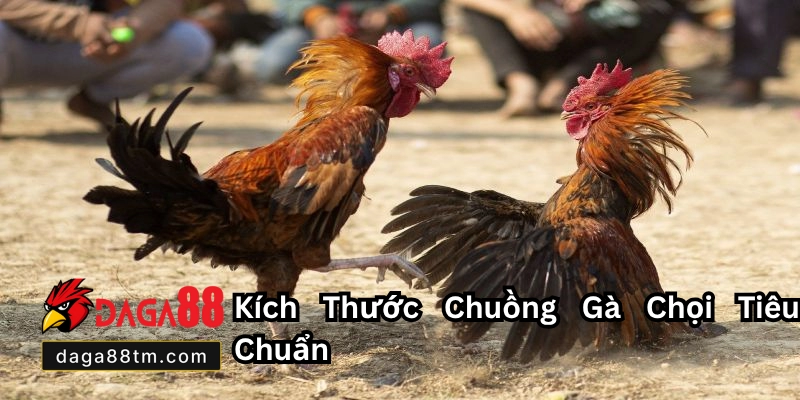 Quy Chuẩn Chuồng Gà Chọi