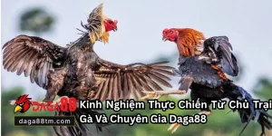 Quy Chuẩn Chuồng Gà Chọi