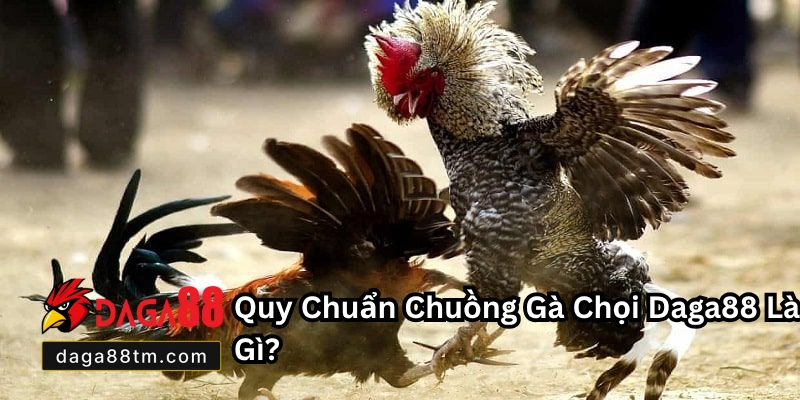 Quy Chuẩn Chuồng Gà Chọi