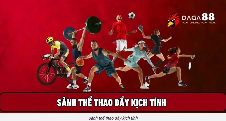 Sảnh cược thể thao tại Đá Gà 88 được nhiều người quan tâm